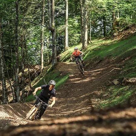 Bike Villa-musica Izm Hanni Apartment *