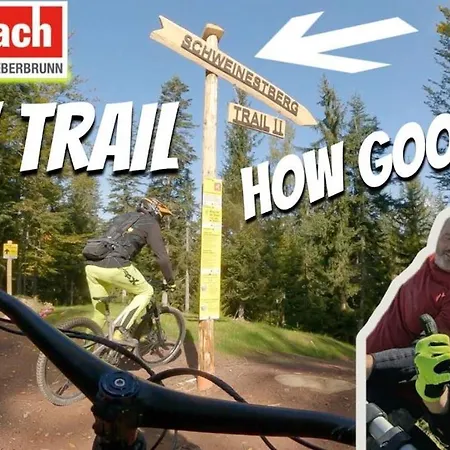 Bike Villa-musica Izm Hanni * Fieberbrunn