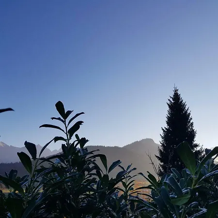 Apartment Villa-musica Fieberbrunn
