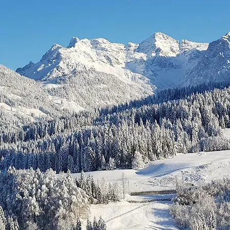 Villa-musica Apartment Fieberbrunn