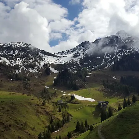 Apartment Villa-musica