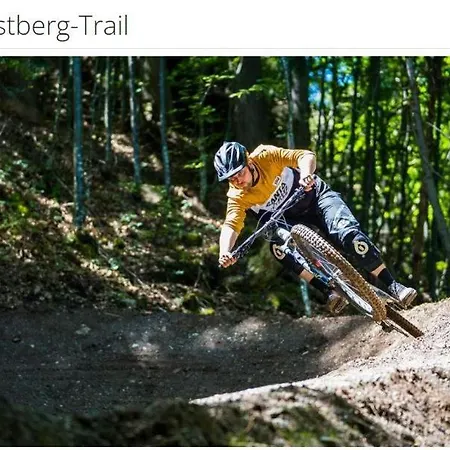 Bike Villa-musica Izm Hanni Lejlighed Fieberbrunn