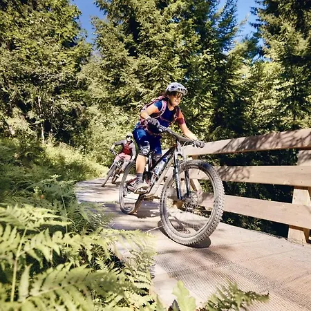 Bike Villa-musica Izm Hanni * Fieberbrunn