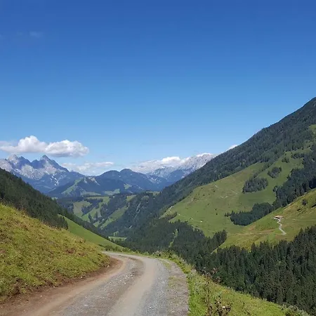 Lägenhet Villa-musica Fieberbrunn